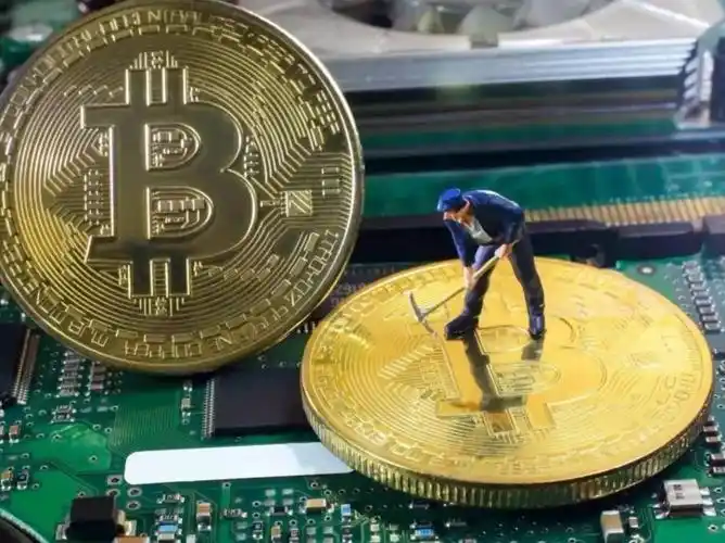 Hosted Mining Farm