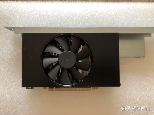 Mining Rig Setup